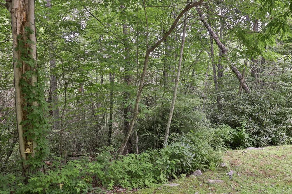 364 Cross Creek Trail Cullowhee, NC 28723