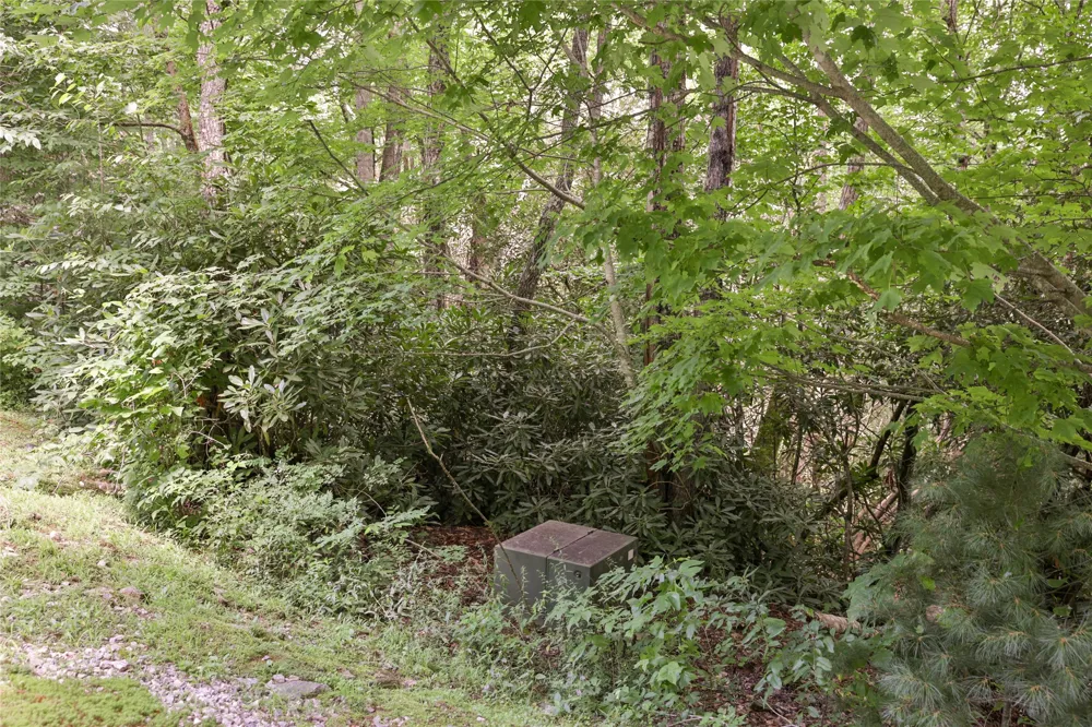 364 Cross Creek Trail Cullowhee, NC 28723
