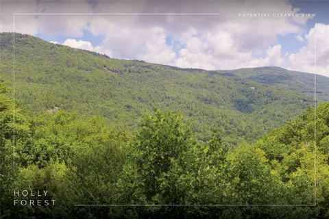 Lot 91 Bald Eagle Court