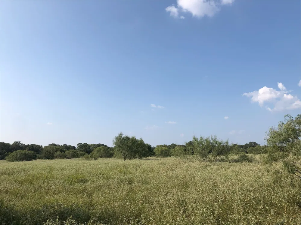 270 Wild Plum Road Lockhart, TX 78644