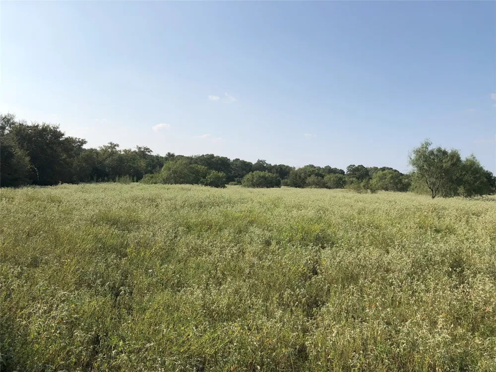 270 Wild Plum Road Lockhart, TX 78644