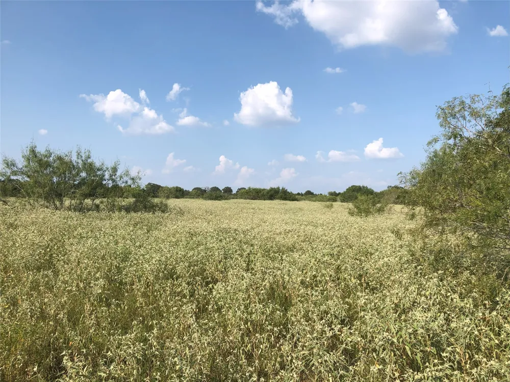 270 Wild Plum Road Lockhart, TX 78644