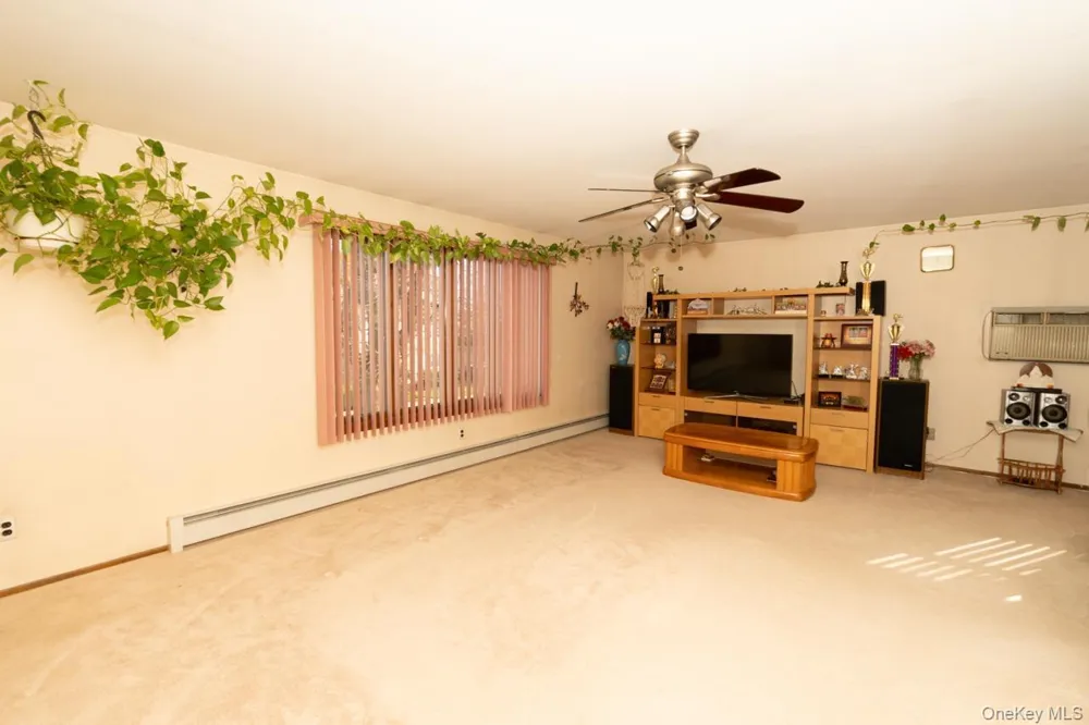 305 S 10th Street New Hyde Park, NY 11040