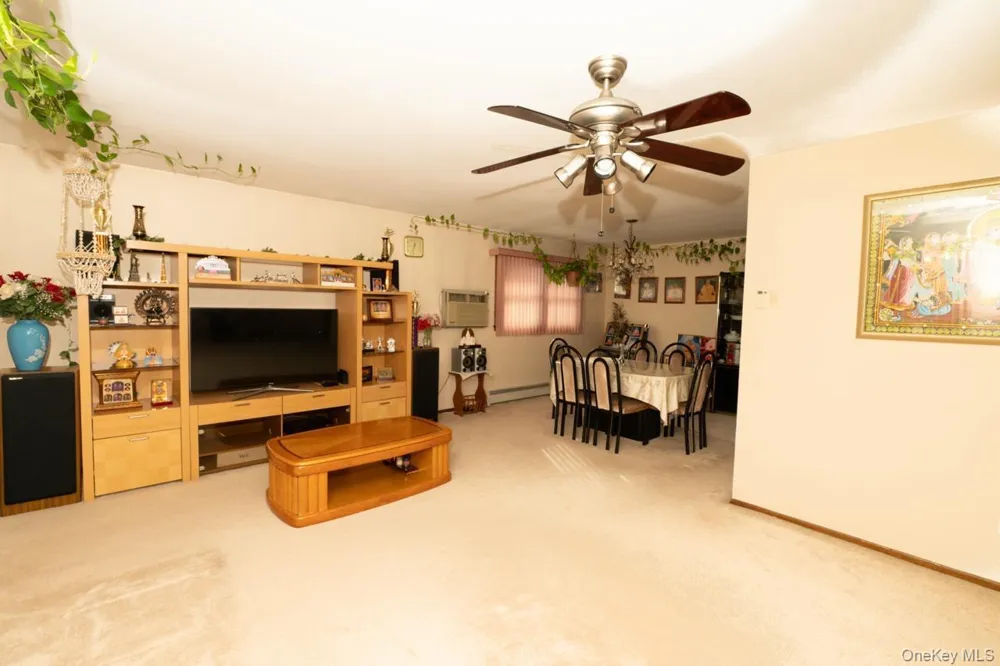 305 S 10th Street New Hyde Park, NY 11040