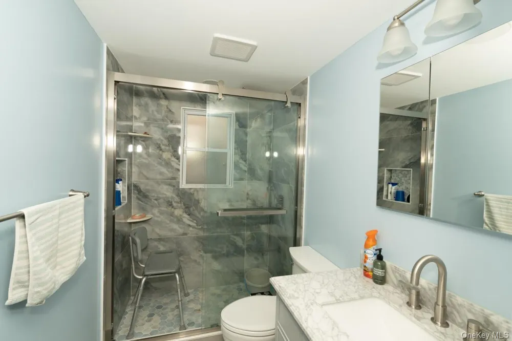 305 S 10th Street New Hyde Park, NY 11040