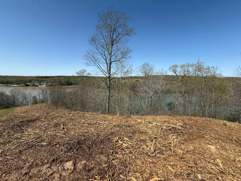 111 Portalatin Pointe Stewart, TN 37175
