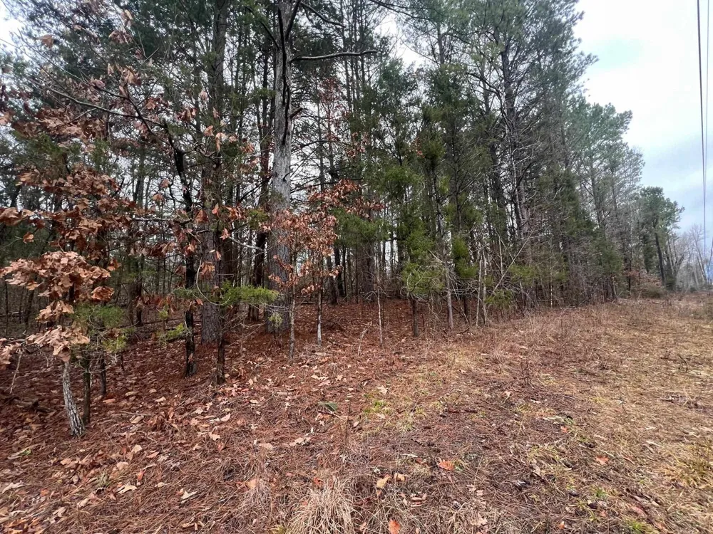 156 IRON HORSE TRL Parsons, TN 38363