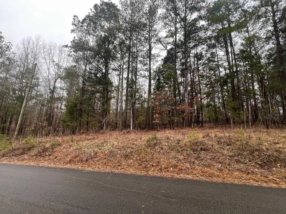 156 IRON HORSE TRL Parsons, TN 38363