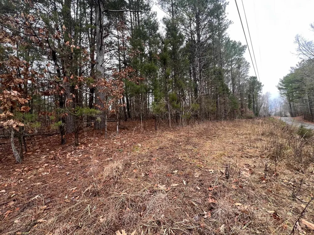 156 IRON HORSE TRL Parsons, TN 38363