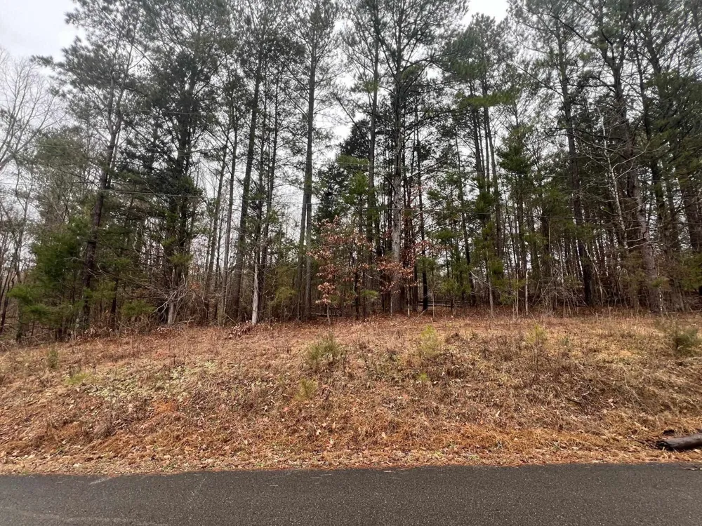 156 IRON HORSE TRL Parsons, TN 38363