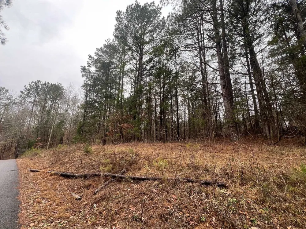 156 IRON HORSE TRL Parsons, TN 38363