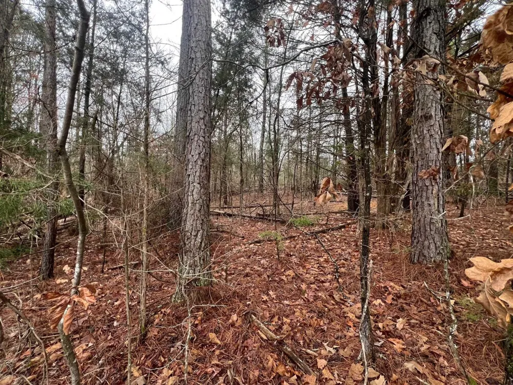 156 IRON HORSE TRL Parsons, TN 38363