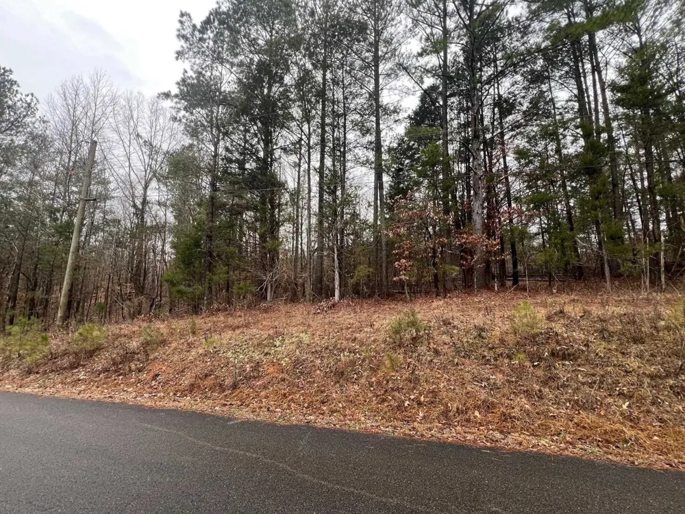 156 IRON HORSE TRL Parsons, TN 38363