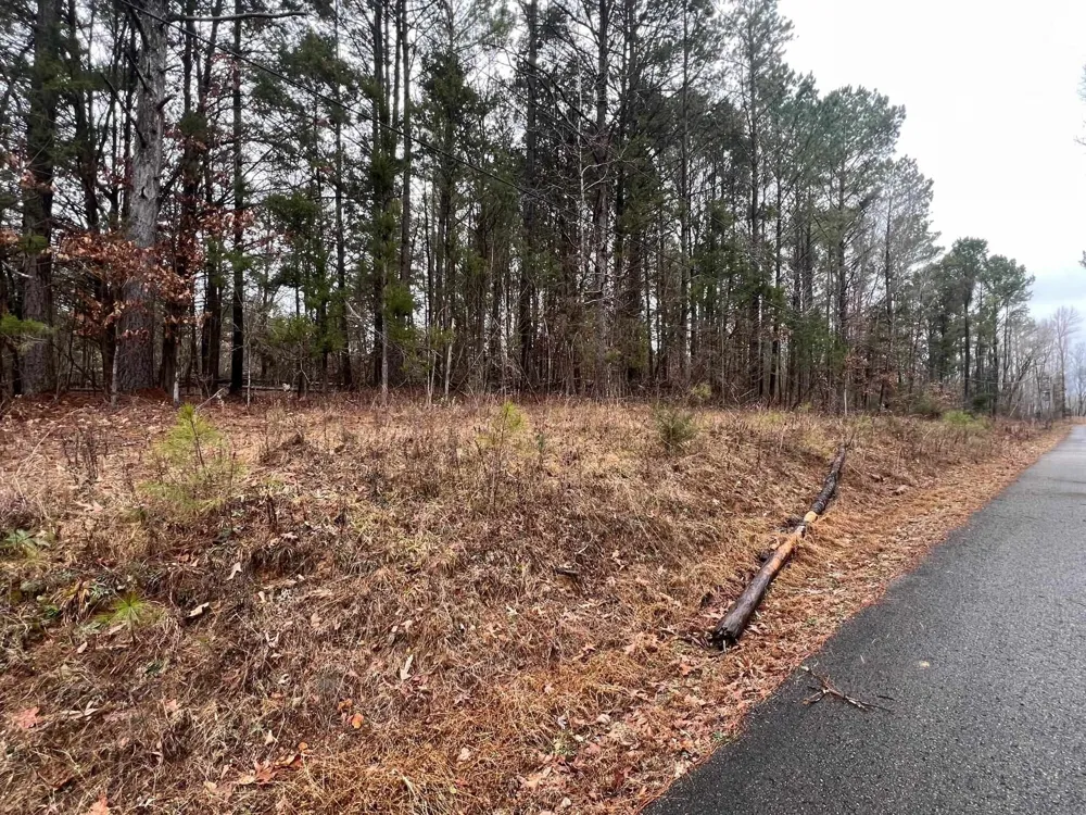 156 IRON HORSE TRL Parsons, TN 38363