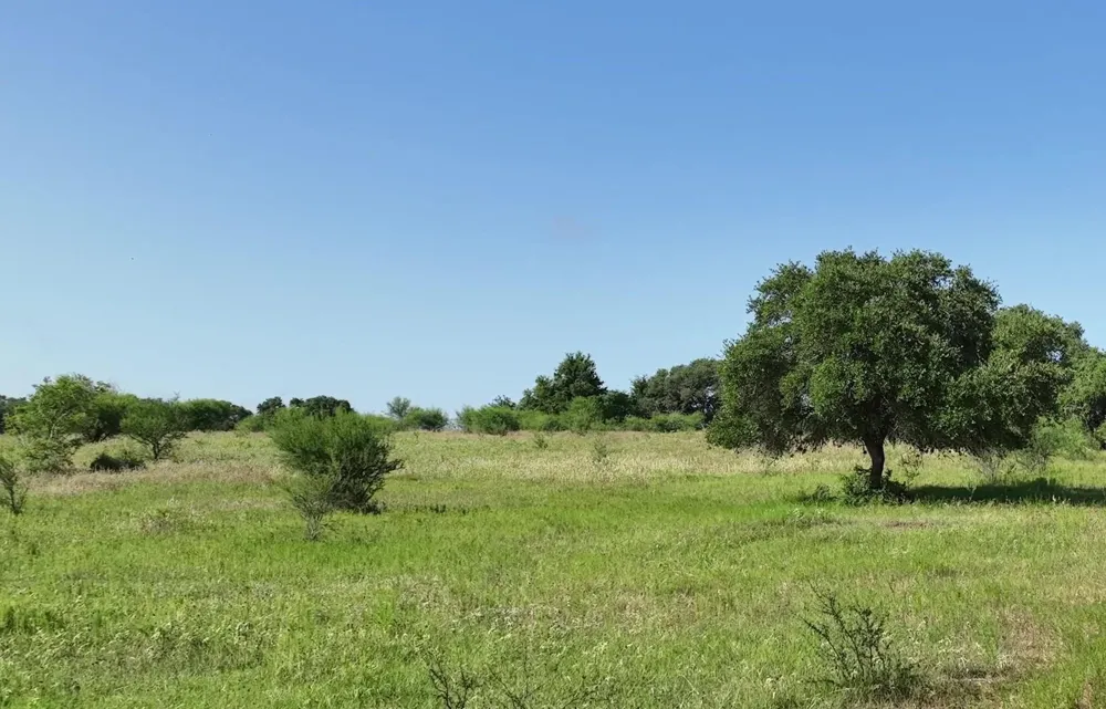 Cr 209 Weimar, TX 78962