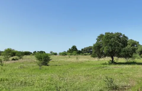 Cr 209