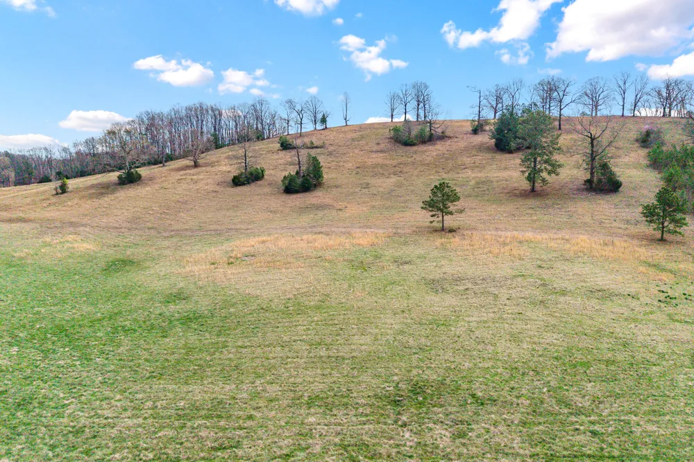 8 Nopone Valley Road Decatur, TN 37322