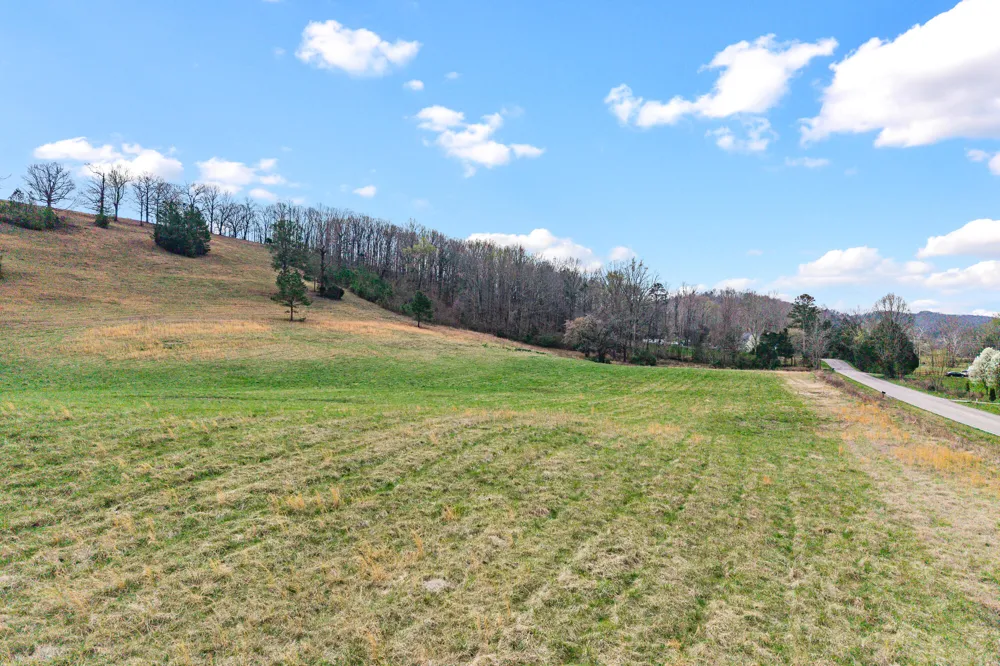 9 Nopone Valley Road Decatur, TN 37322