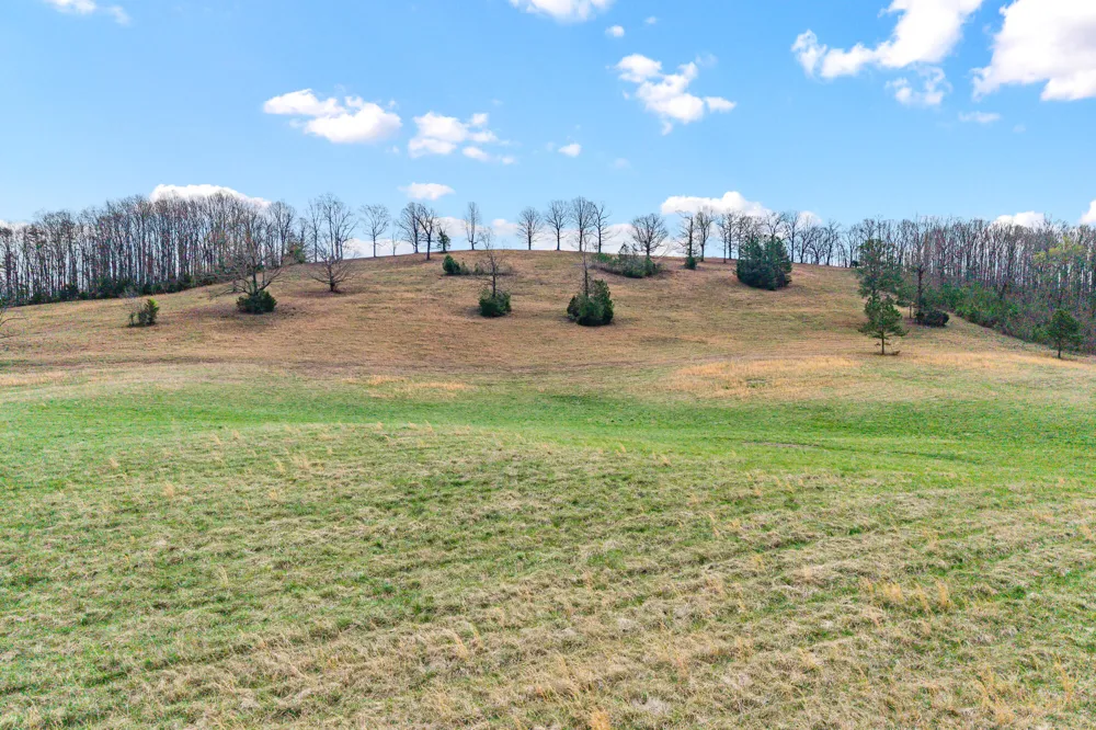 9 Nopone Valley Road Decatur, TN 37322