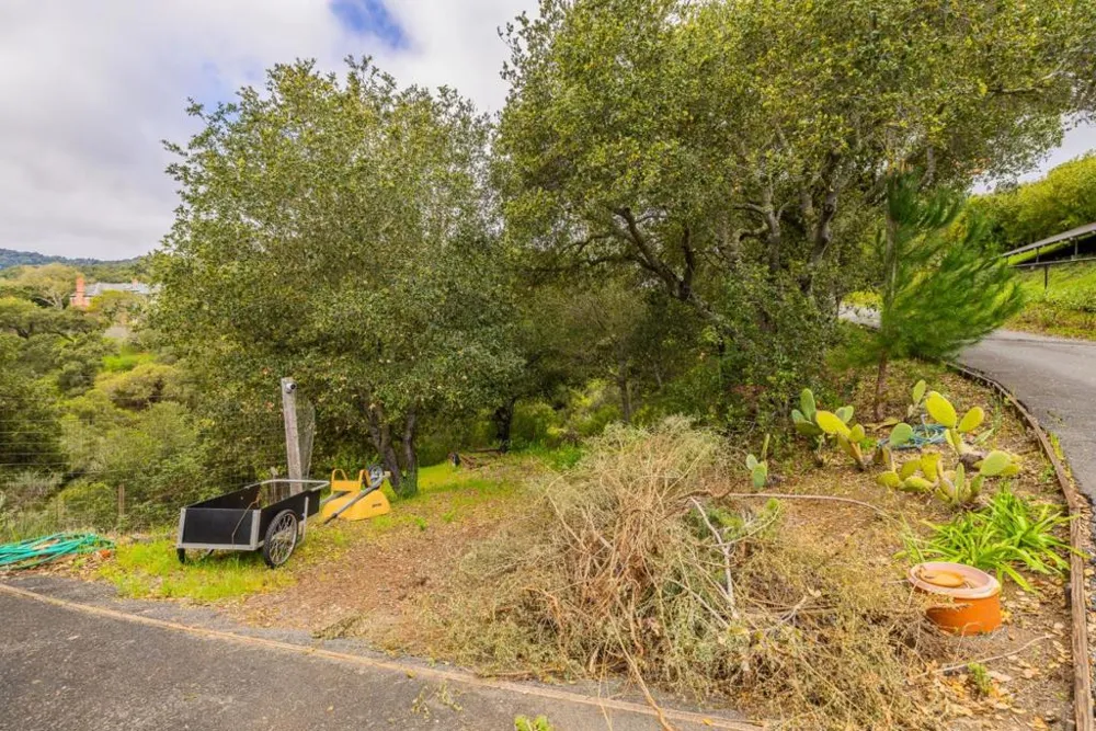27388 Sherlock Court Los Altos, CA 94022