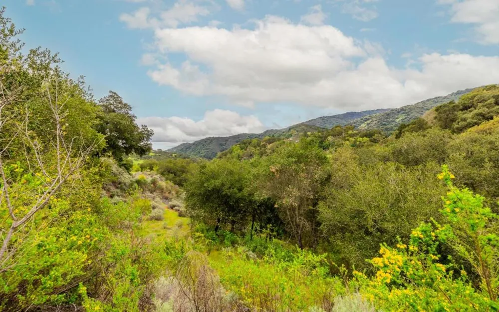 27388 Sherlock Court Los Altos, CA 94022