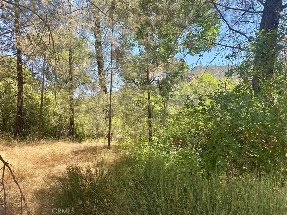 2286 New Long Valley Road Clearlake Oaks, CA 95423