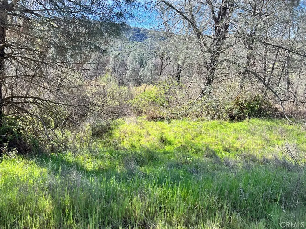 2286 New Long Valley Road Clearlake Oaks, CA 95423