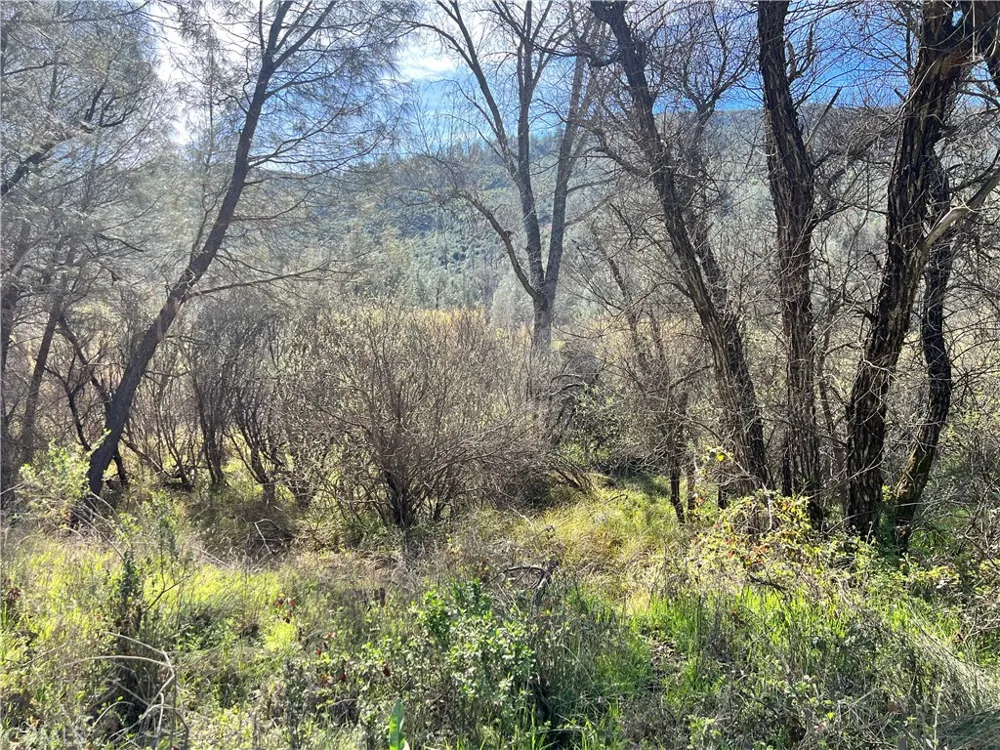 2286 New Long Valley Road Clearlake Oaks, CA 95423