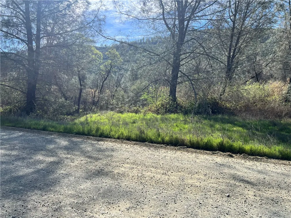 2286 New Long Valley Road Clearlake Oaks, CA 95423