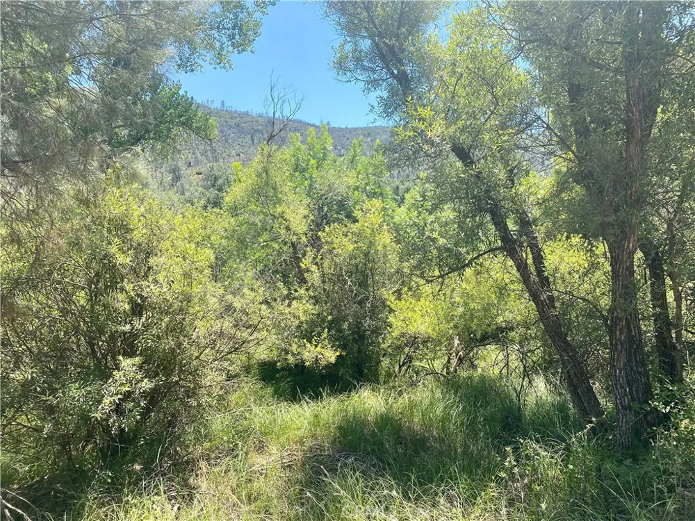 2286 New Long Valley Road Clearlake Oaks, CA 95423