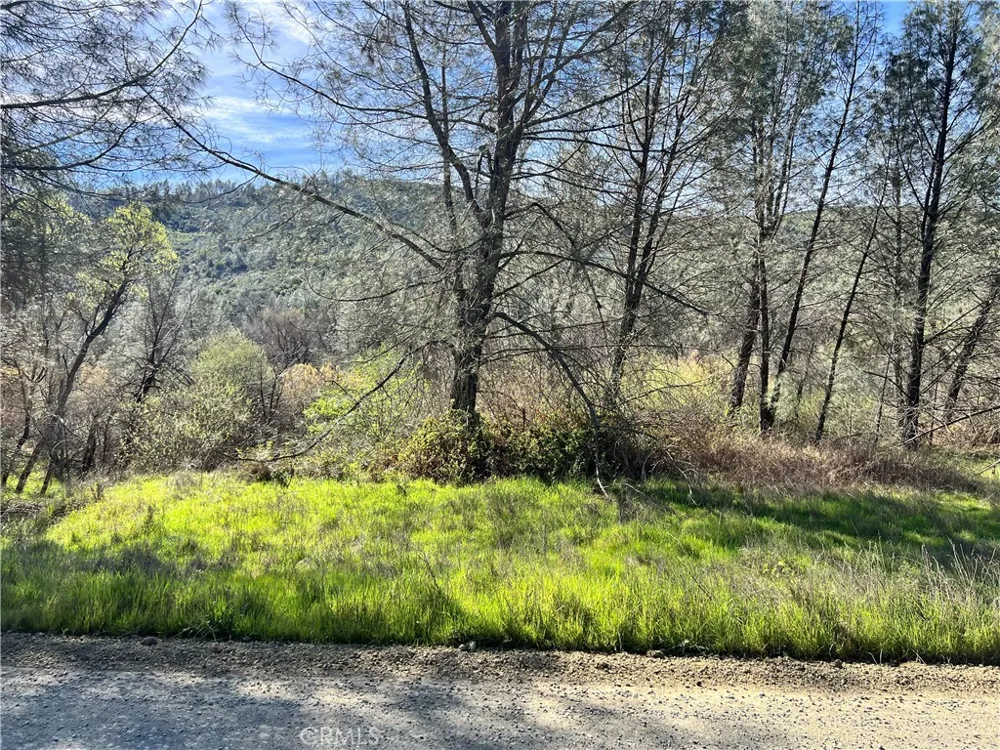 2286 New Long Valley Road Clearlake Oaks, CA 95423