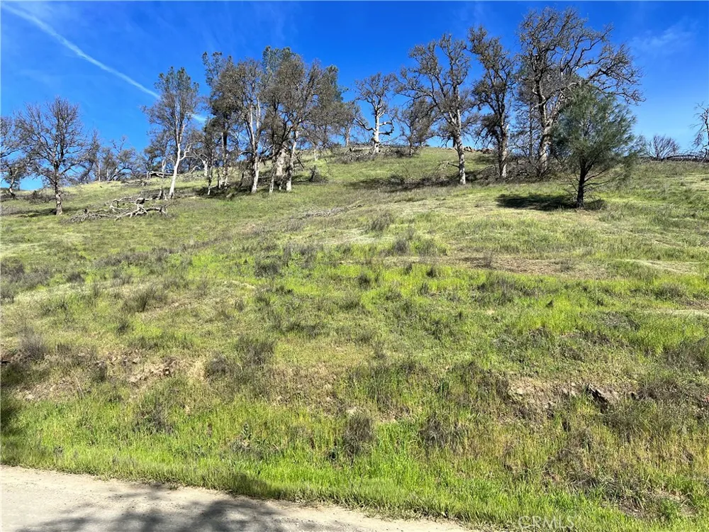 2286 New Long Valley Road Clearlake Oaks, CA 95423