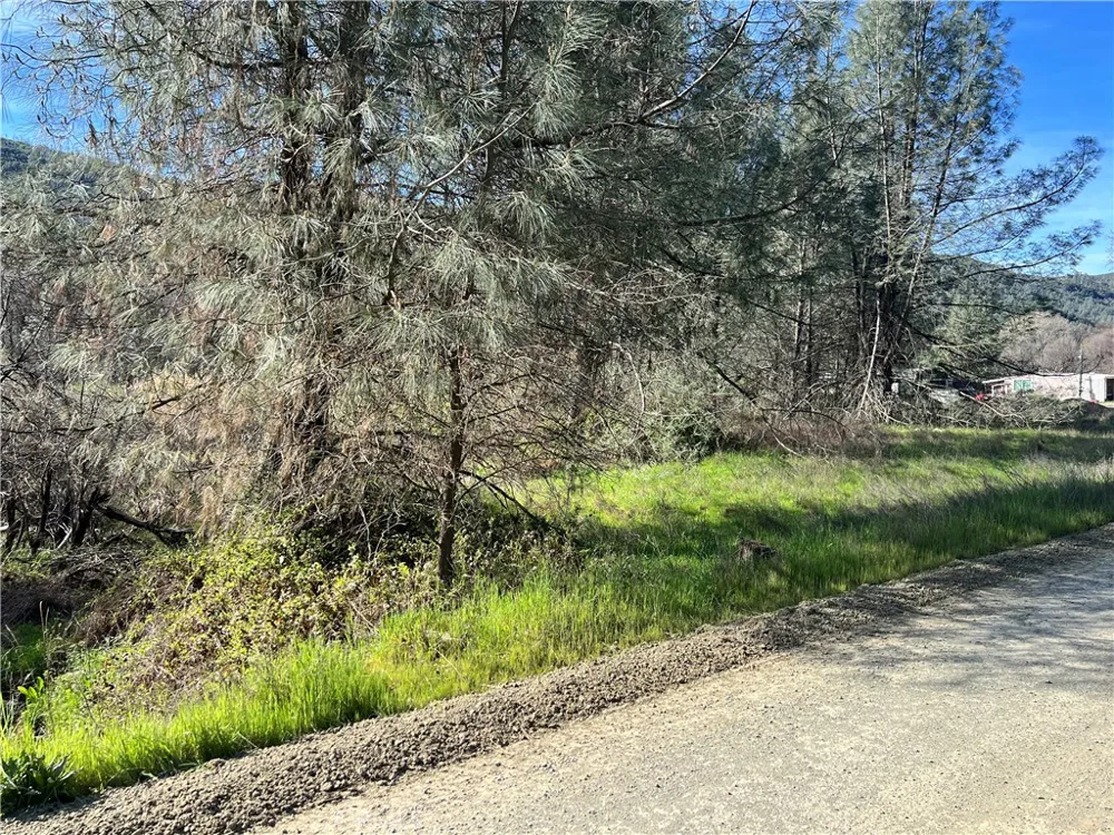 2286 New Long Valley Road Clearlake Oaks, CA 95423