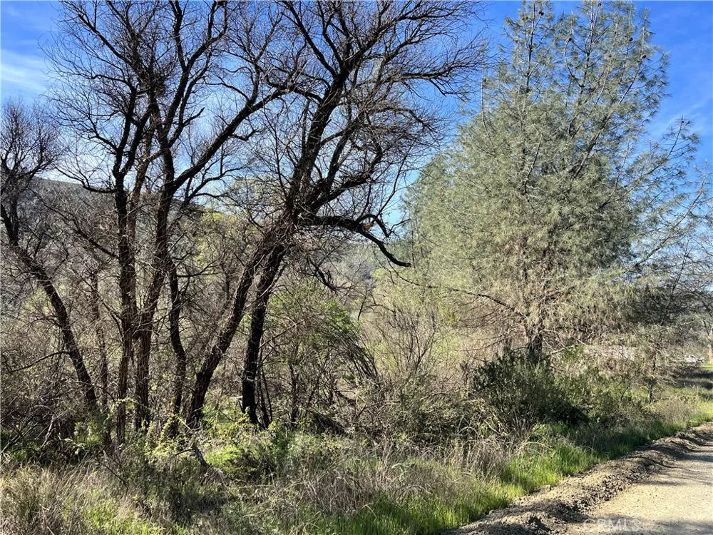 2286 New Long Valley Road Clearlake Oaks, CA 95423