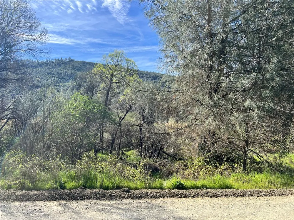 2286 New Long Valley Road Clearlake Oaks, CA 95423