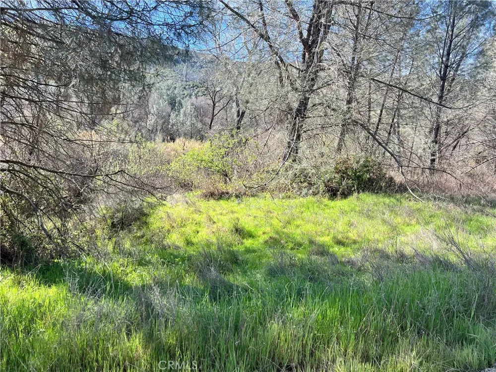 2286 New Long Valley Road Clearlake Oaks, CA 95423