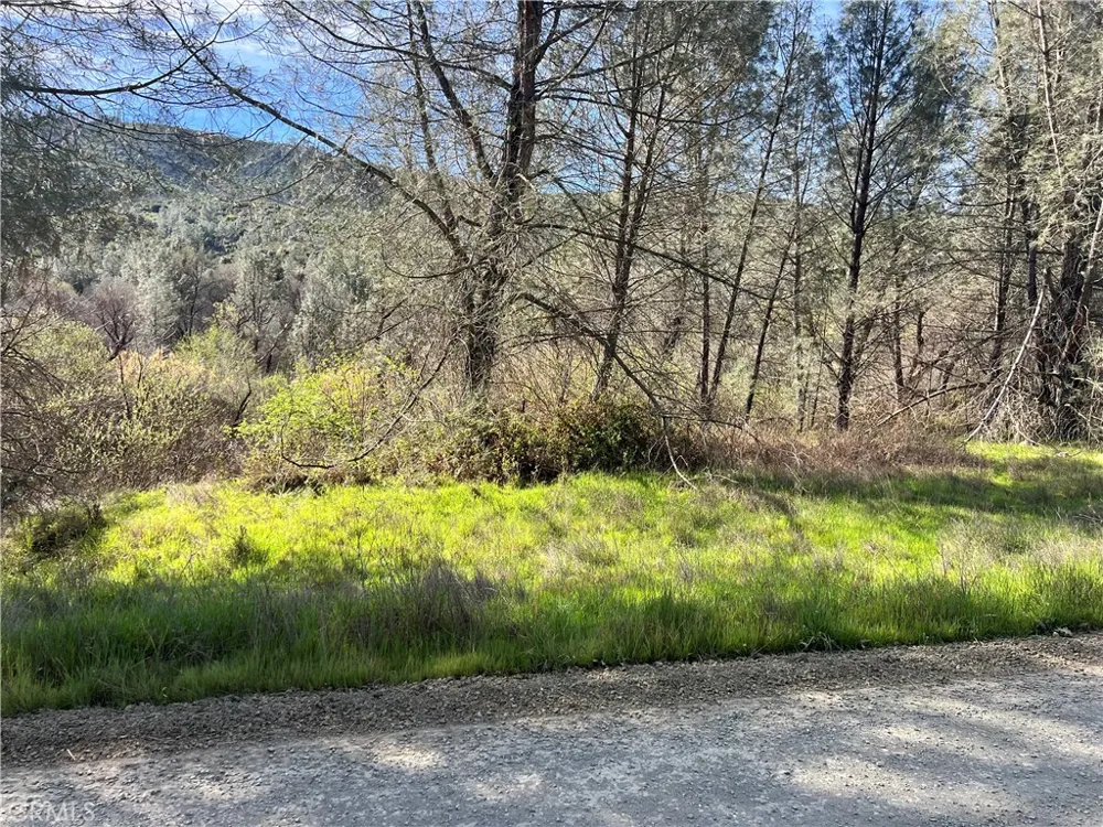 2286 New Long Valley Road Clearlake Oaks, CA 95423
