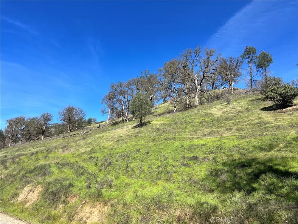 2286 New Long Valley Road Clearlake Oaks, CA 95423