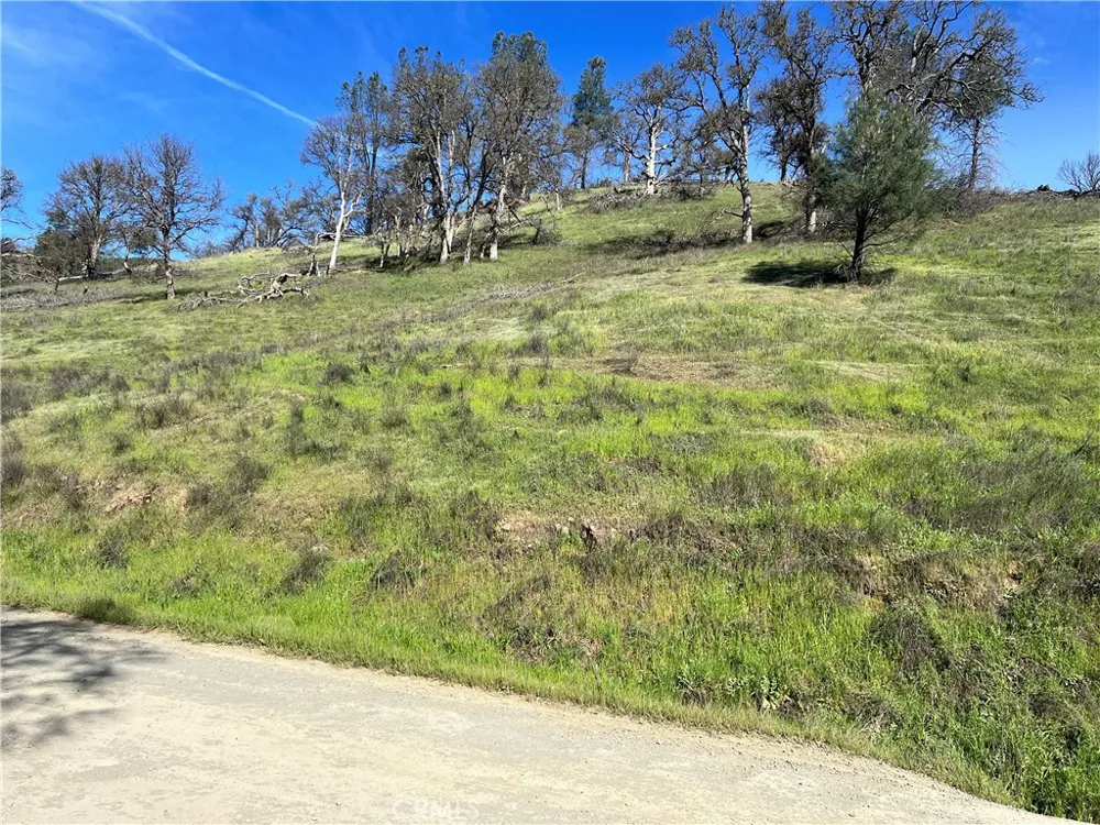 2286 New Long Valley Road Clearlake Oaks, CA 95423