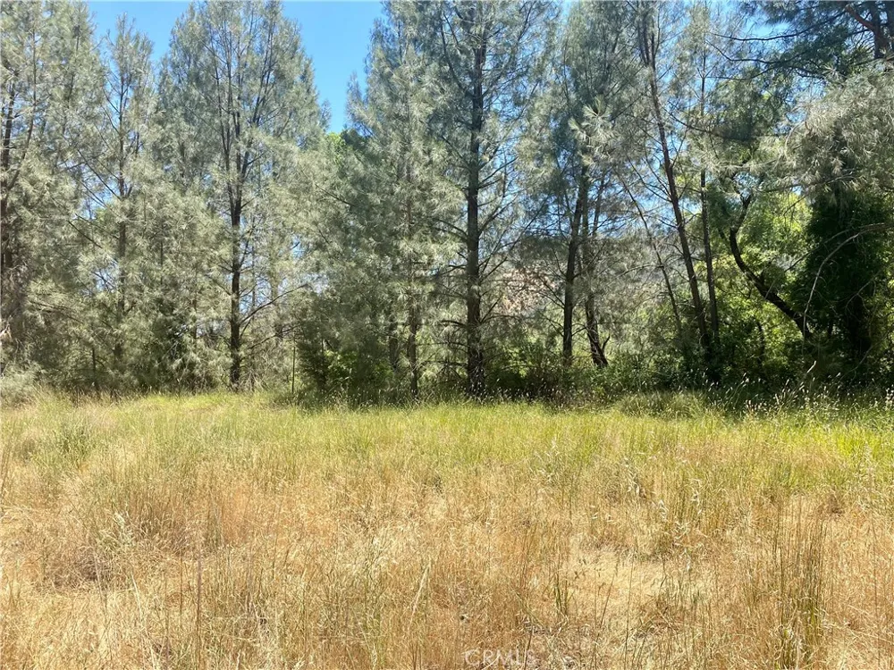 2286 New Long Valley Road Clearlake Oaks, CA 95423