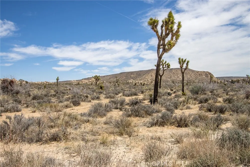 52552 Gamma Gulch Pioneertown, CA 92284