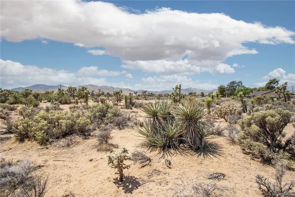 52552 Gamma Gulch Pioneertown, CA 92284