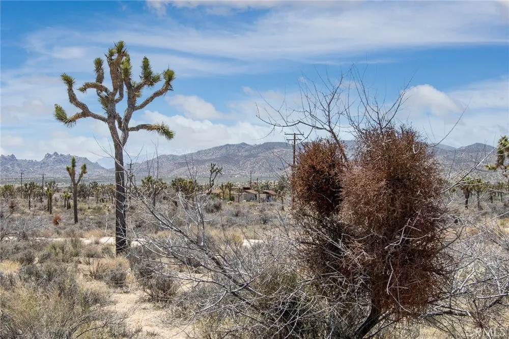 52552 Gamma Gulch Pioneertown, CA 92284