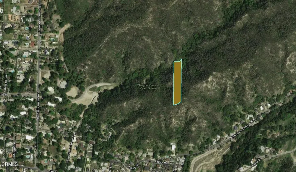 Blanchard Canyon Road Tujunga, CA 91042