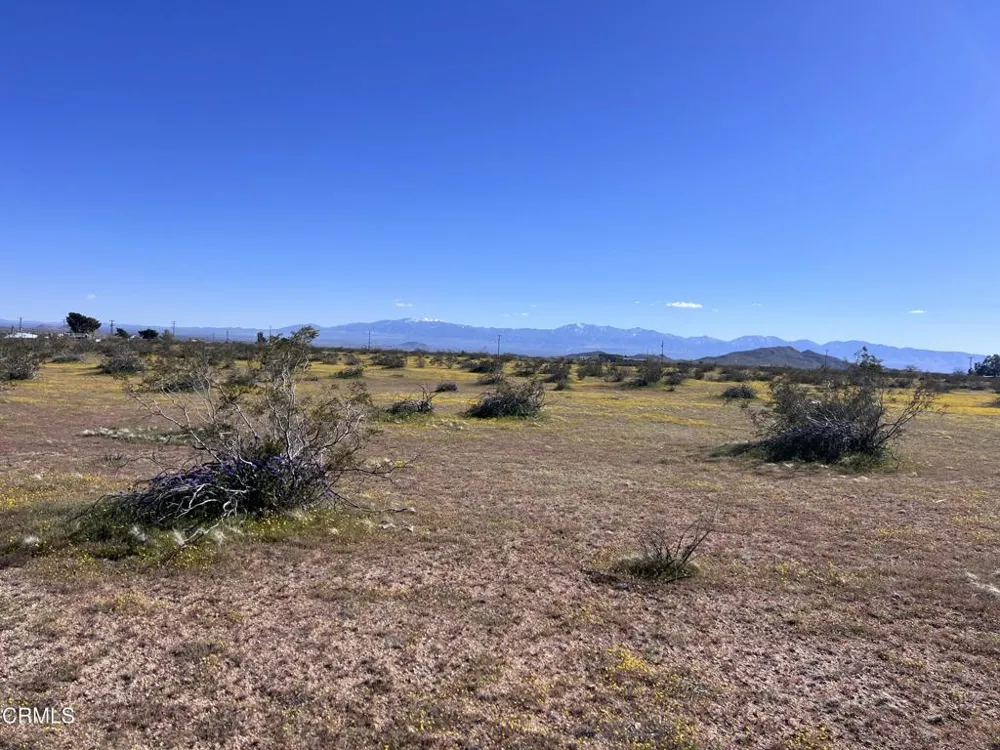 8 E 8 Hi Vista, CA 93535