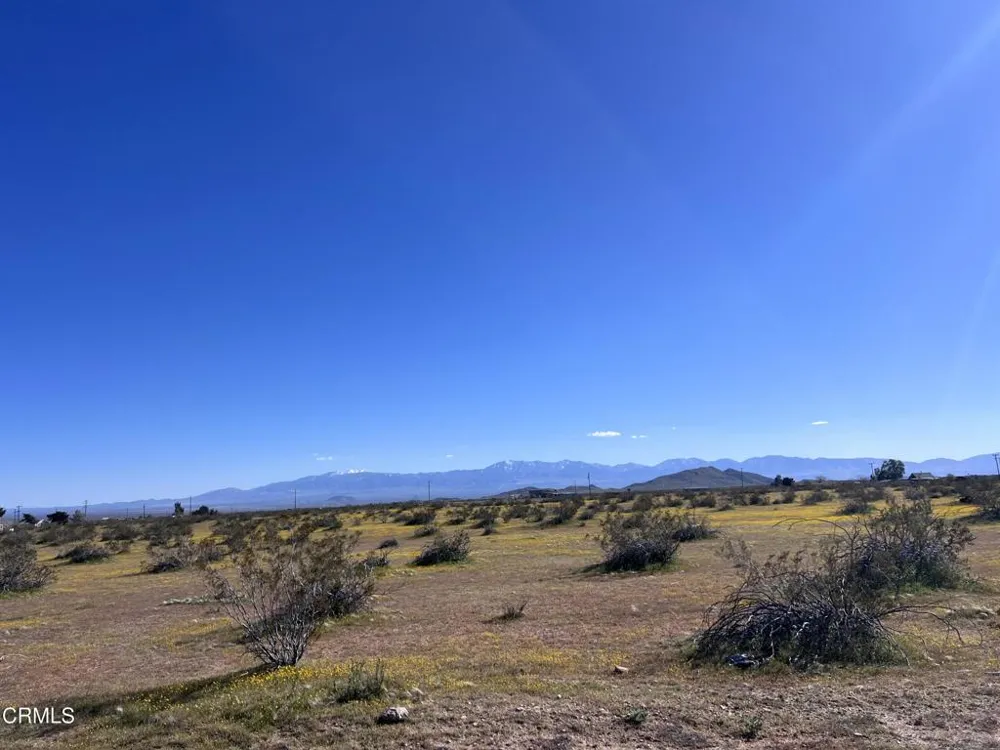 8 E 8 Hi Vista, CA 93535