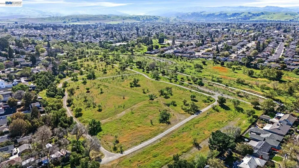 1087 Murrieta Blvd #242 Livermore, CA 94550