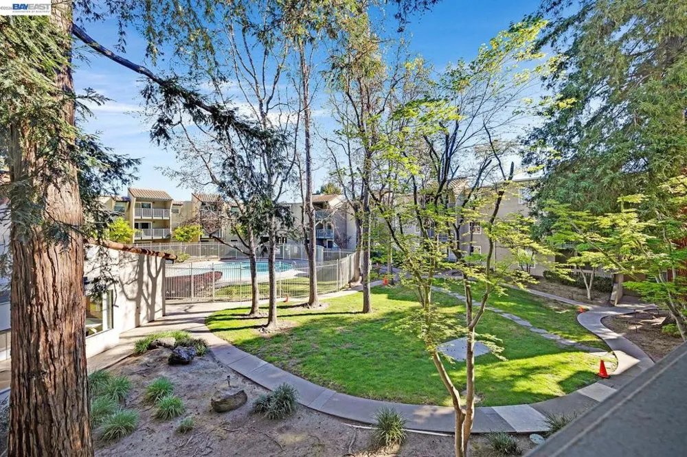 1087 Murrieta Blvd #242 Livermore, CA 94550