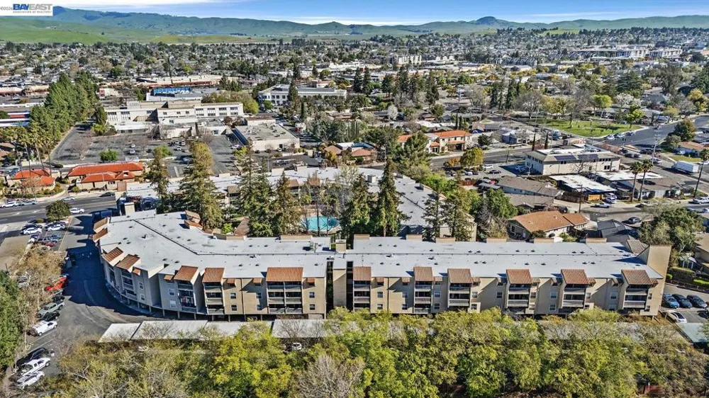 1087 Murrieta Blvd #242 Livermore, CA 94550