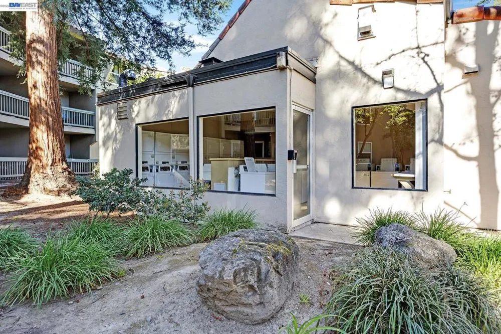 1087 Murrieta Blvd #242 Livermore, CA 94550